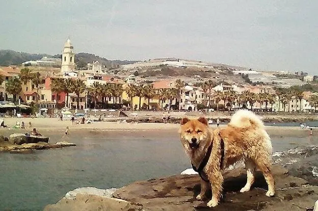 Approdo Apartman Riva Ligure 0*,  Olaszország